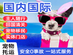 抚远东极空运代理国际宠物托运 【国